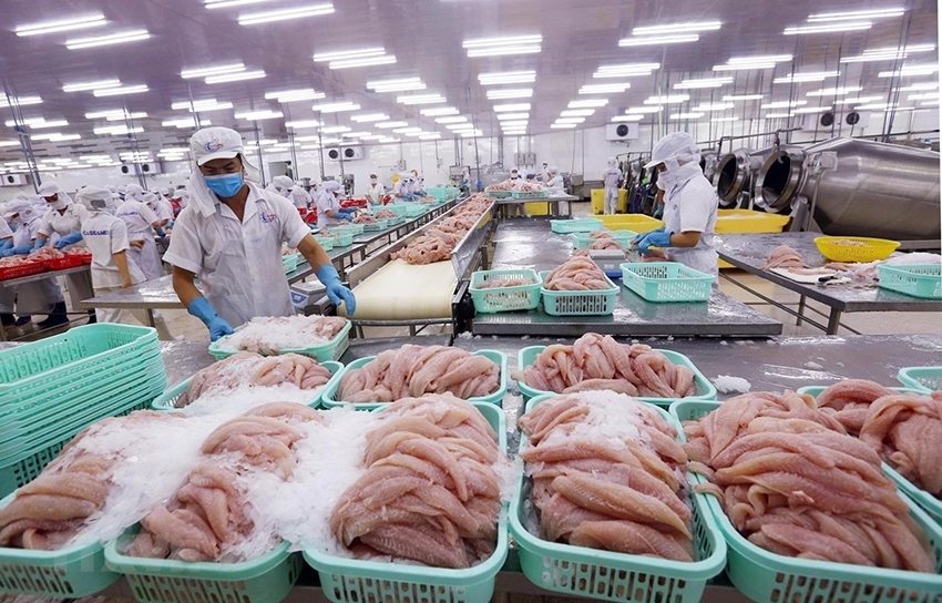 Positive prospects ahead for Vietnam – Morocco trade ties